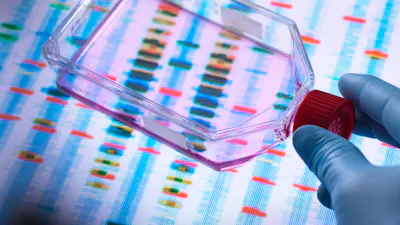 Genetic Engineering, Scientist viewing cells in a culture jar with a DNA profiles on a screen in the background illustrating gene editing