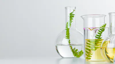 Plants in laboratory glassware on white background. Skincare products and drugs chemical researches concept
