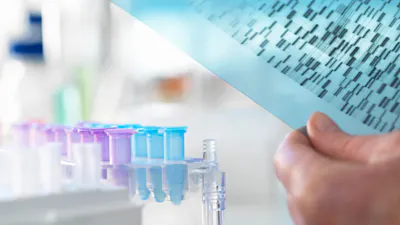 Researcher holding a DNA (deoxyribonucleic acid) gel during a genetic experiment in a laboratory