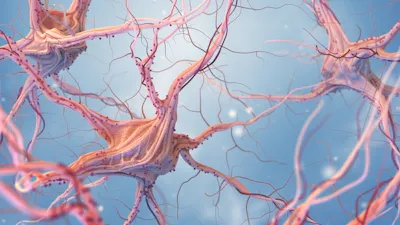 Neurons and nervous system. 3d render of nerve cells. 3D illustration