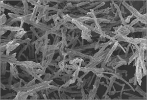 Mesoporous silica rods (MSRs)